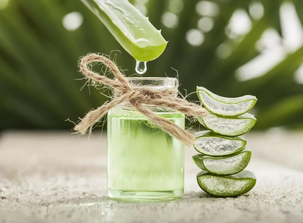 diy aloe vera hair mask