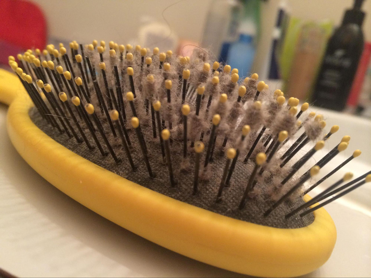 lint on hairbrush