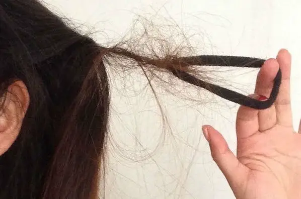 knotty hair